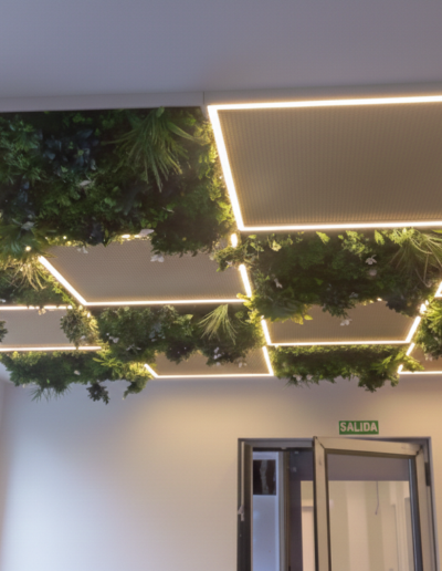 Techo Antonio Lopez 400x516 - Trabajos realizados